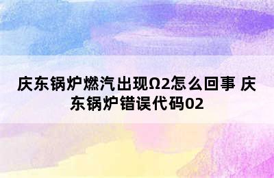 庆东锅炉燃汽出现Ω2怎么回事 庆东锅炉错误代码02